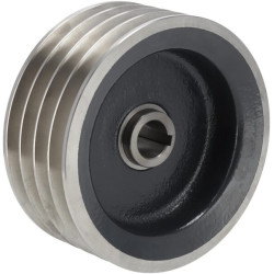 Skriemulys, V formos diržas Z1000370