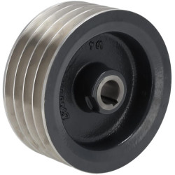 Skriemulys, V formos diržas Z1000370