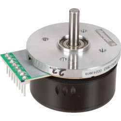 Pjovimo variklis ET33333