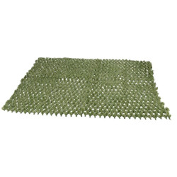 Hibridinė žolė Premium, 1x1m FGP570