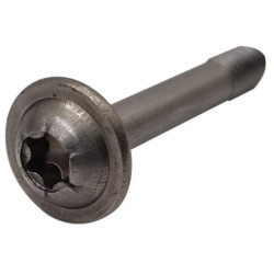 Screw 042Z17800A