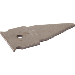 Dantytas strypo profilis AGW39754