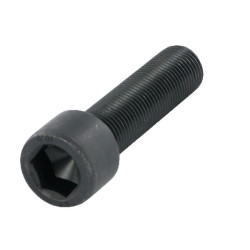 Šešiakampis varžtas M16x1.5x55 SCT0078029