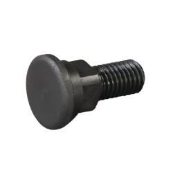 Peilio varžtas E07360ASM