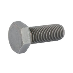 Peilio varžtas E07651ASM