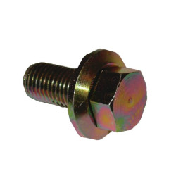 Varžtas 10x25 FGP453030