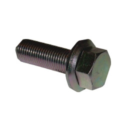 Varžtas M10x1x30mm FGP453064