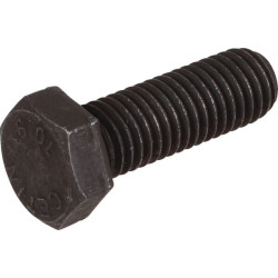 Varžtas 4017 12 x 35 10,9 DC160