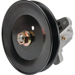 Guolio korpusas MTD 618-04950 FGP430141