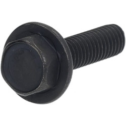 Ašmenų varžtas 5/16"x1"1/4 FGP455782B