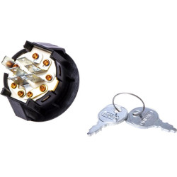 Užvedimo rakto jungiklis (įspaudžiamas) 2509930S