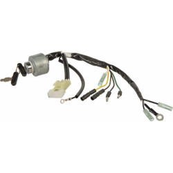 Uždegimo jungiklis 35100ZJ1812