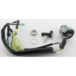 Uždegimo jungiklis 35100ZJ1812