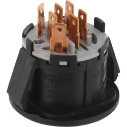 Uždegimo jungiklis AYP 53-21933-50 FGP015902