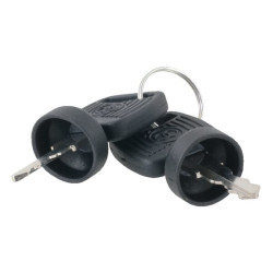 Raktai (2 vnt.) ET29534