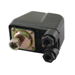 Pilnas stūmoklio jungiklis AK460163