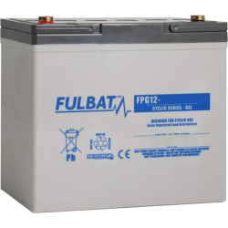 GEL akumuliatorius 12V 60Ah FPG1260