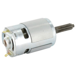 Variklis (Solo 168A) 17190854