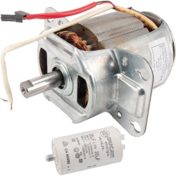 Elektrinis variklis SA34694