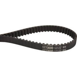 Paskirstymo diržas MTD GW1773600