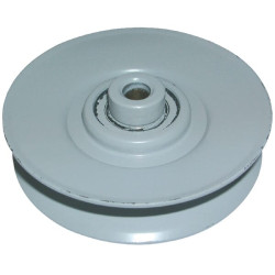 Denio skriemulys „v“, tinkantis AYP FGP010246B