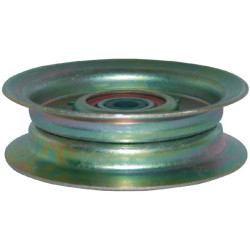 Plokščias skriemulys, tinka AYP FGP010243B