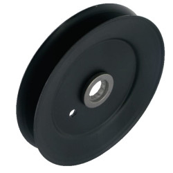 Skriemulys MTD FGP454318