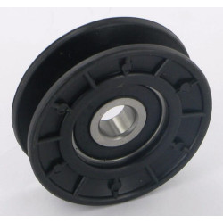 Skriemulys AYP FGP456843