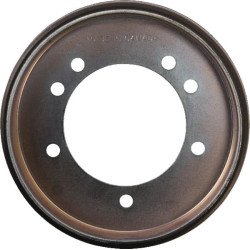 Frikcinis diskas 1725428SM