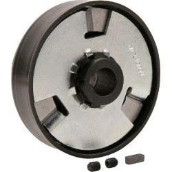 Išcentrinė sankaba 3/4"CH FGP012664