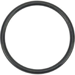 O formos žiedas s26.0 24341000260