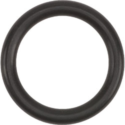 O formos žiedas 1a p14 24311000140