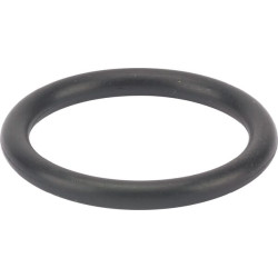 O formos žiedas p18 24311000180