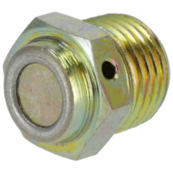 Apsauginis vožtuvas P792118