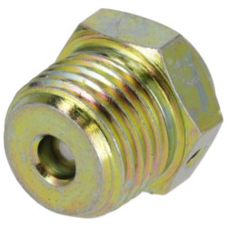 Apsauginis vožtuvas P792118