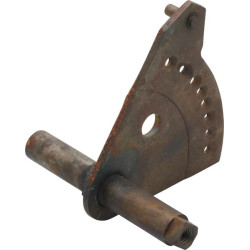 Velenas ir šakė P784345