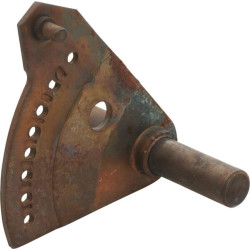 Velenas ir šakė P784345