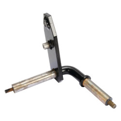 Ašies galas LH 99 ET29809