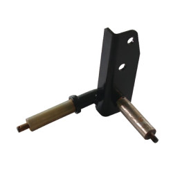 Ašies galas RH ET31599