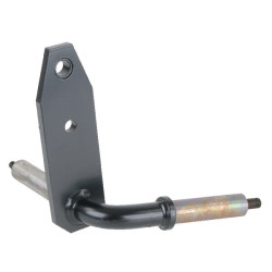 Ašies galas RH 99 ET29810