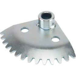 Dantų segmentas 3847355510