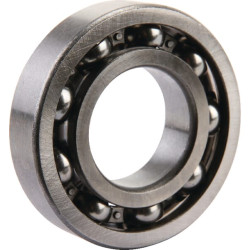 Ritininis guolis AGW02573