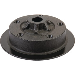 Galinio rato stebulė, TS ET35295