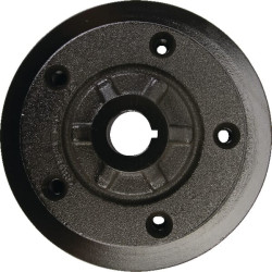 Galinio rato stebulė, TS ET35295