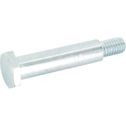 Peties varžtas 2" FGP011636