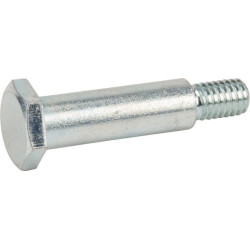 Peties varžtas 19/16" FGP011635