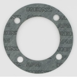 Case - IH 640 1964079C2 GTV dangčio tarpiklis