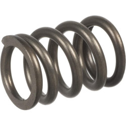 Suspaudimo spyruoklė AGW77773