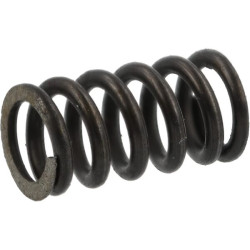 Perjungimo skląsčio suspausta spyruoklė AGW04934