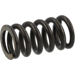 Perjungimo skląsčio suspausta spyruoklė AGW04934